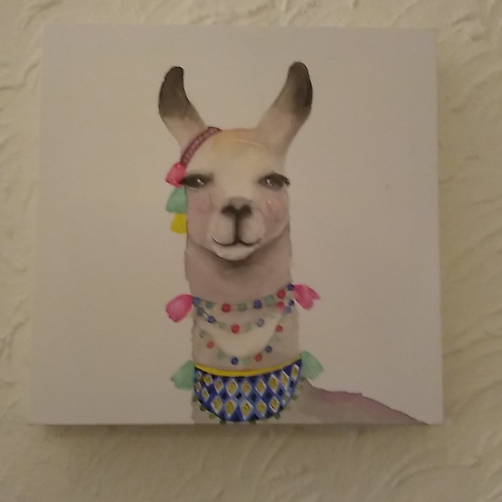 Llama canvas wall art